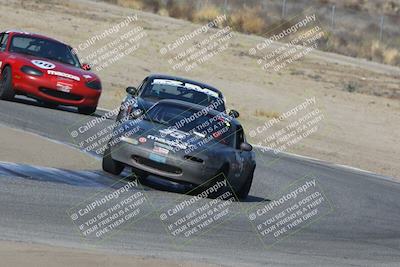 media/Nov-04-2023-CalClub SCCA (Sat) [[cb7353a443]]/Group 3/Cotton Corners (Race)/